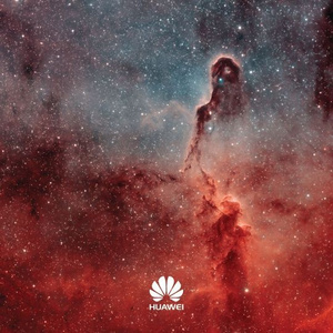 男男女女性欲欧美QQQXXX
