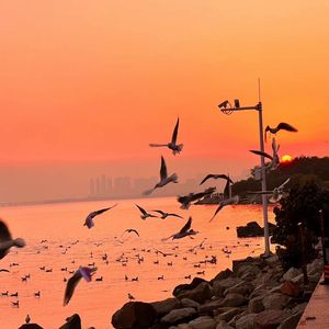 男男女女性欲欧美QQQXXX
